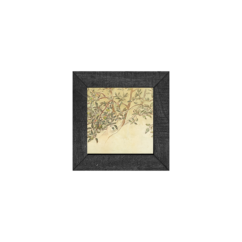 Vintage Apple Branch