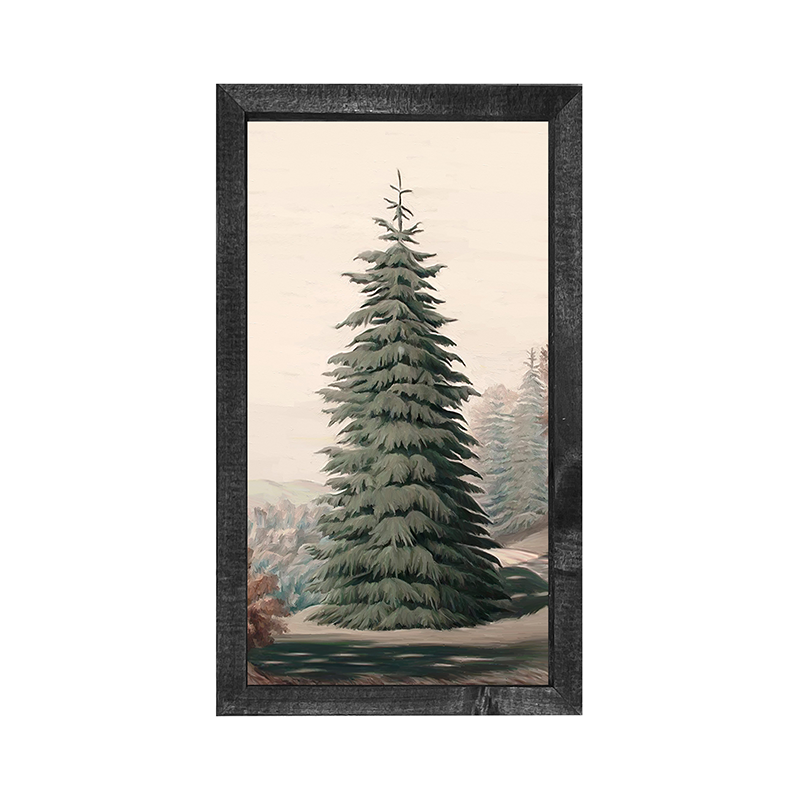 Giant Conifer