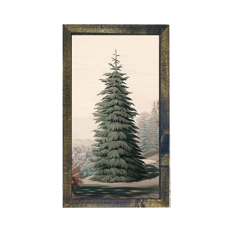 Giant Conifer