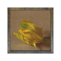 Gallery Frame