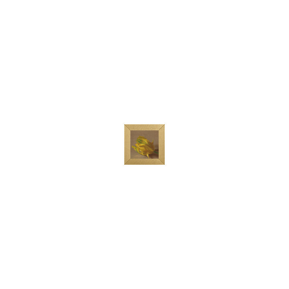 FL-408 in Metallic Gold Gallery Frame, M