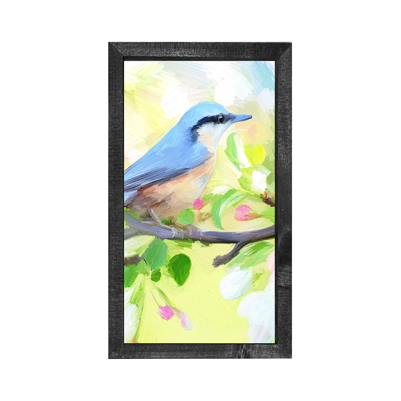 Nuthatch