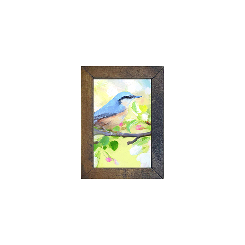 Nuthatch