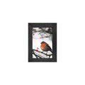 Gallery Frame
