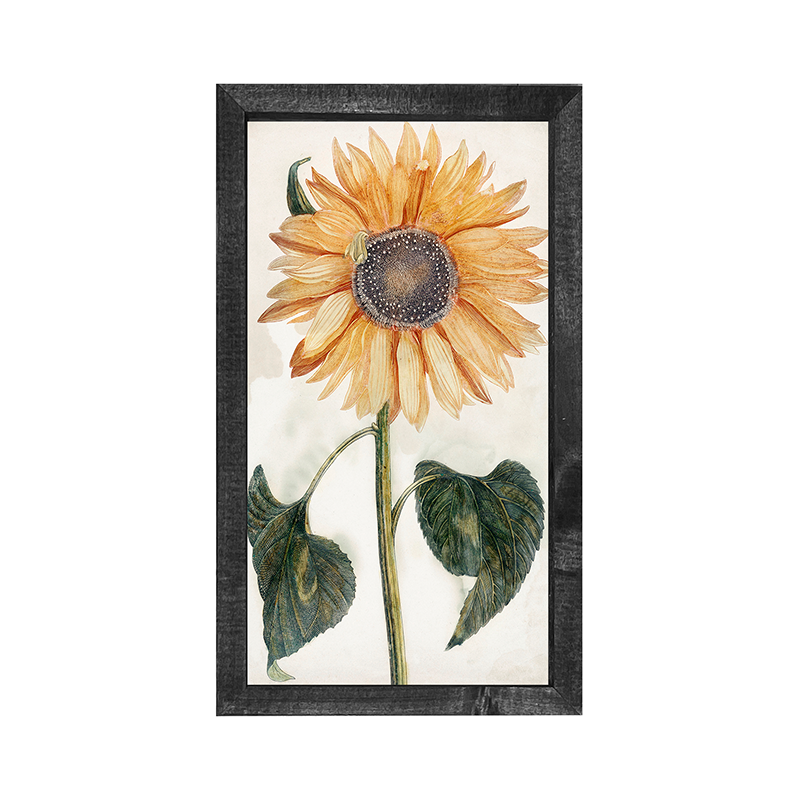 sunflower stem