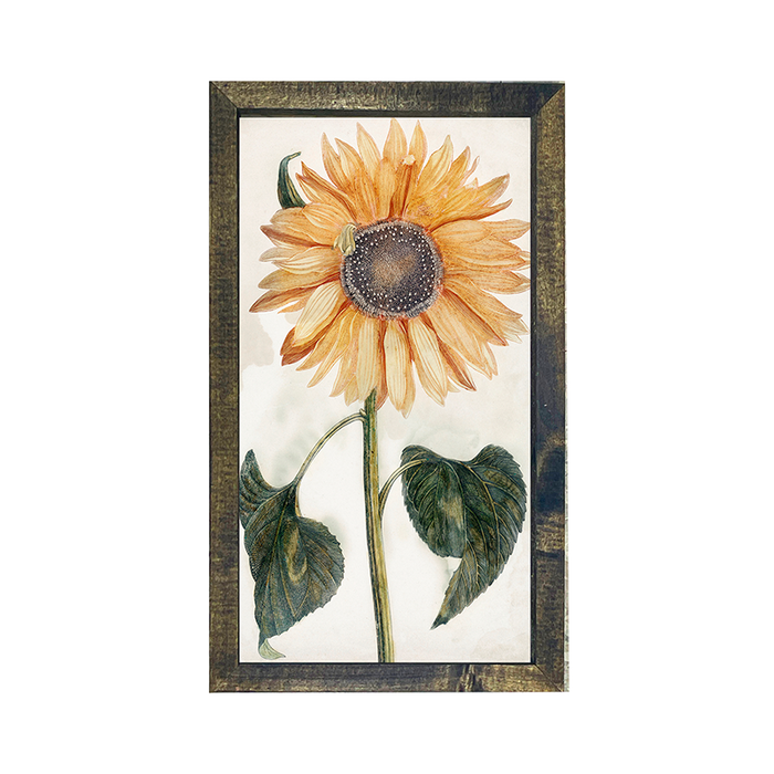 sunflower stem