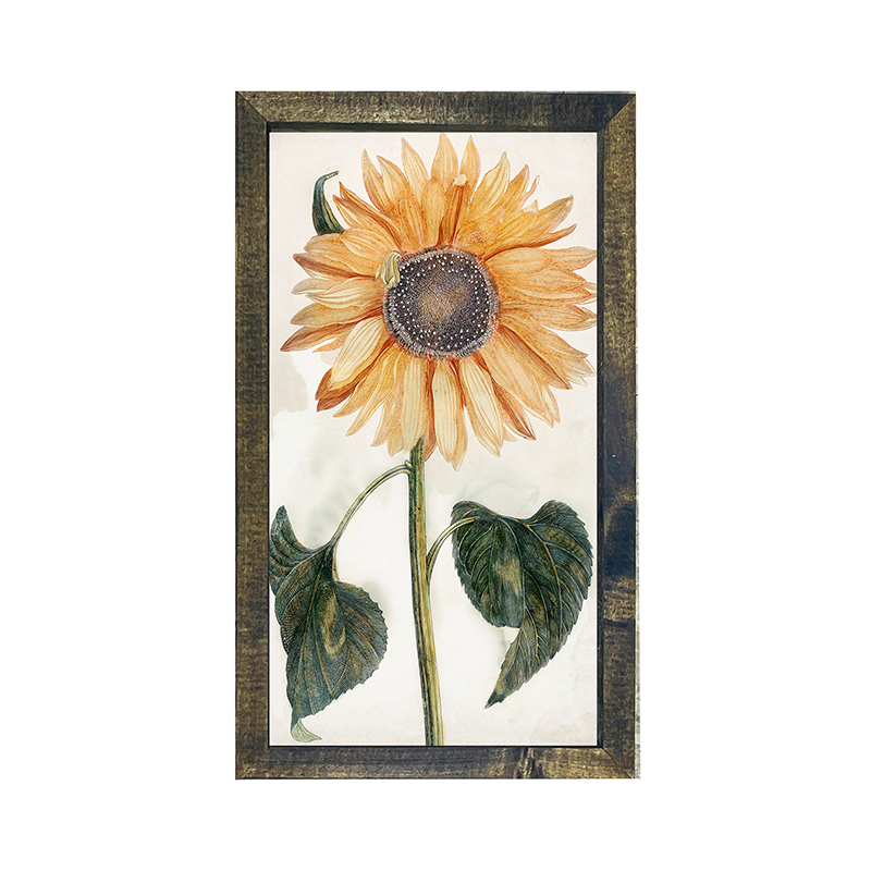 sunflower stem
