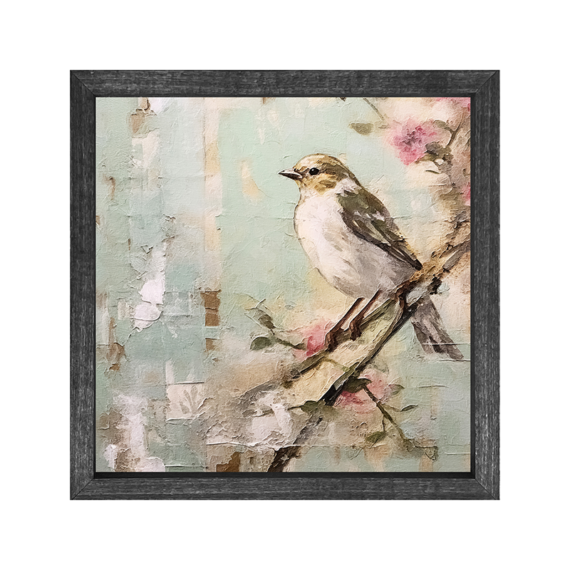 Small white-breasted bird