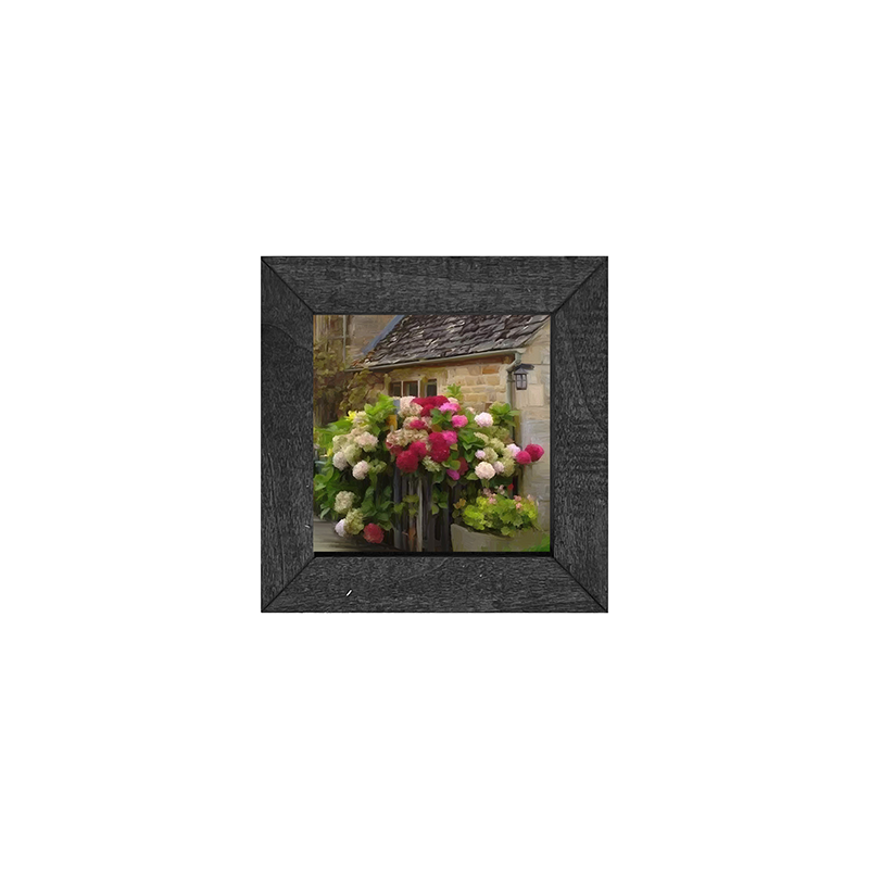 Cottage With Hydrangeas