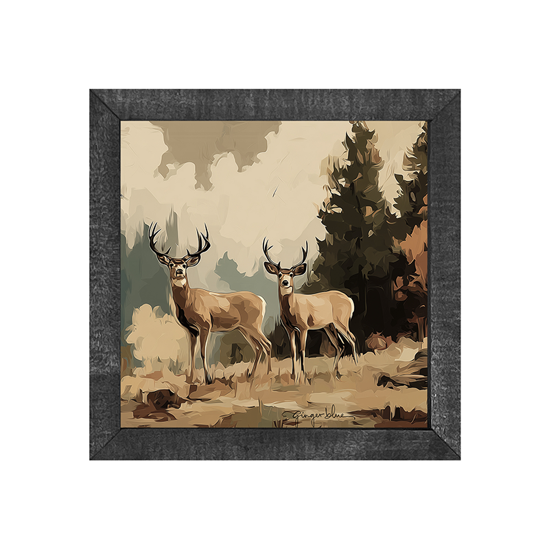 Adirondack Deer
