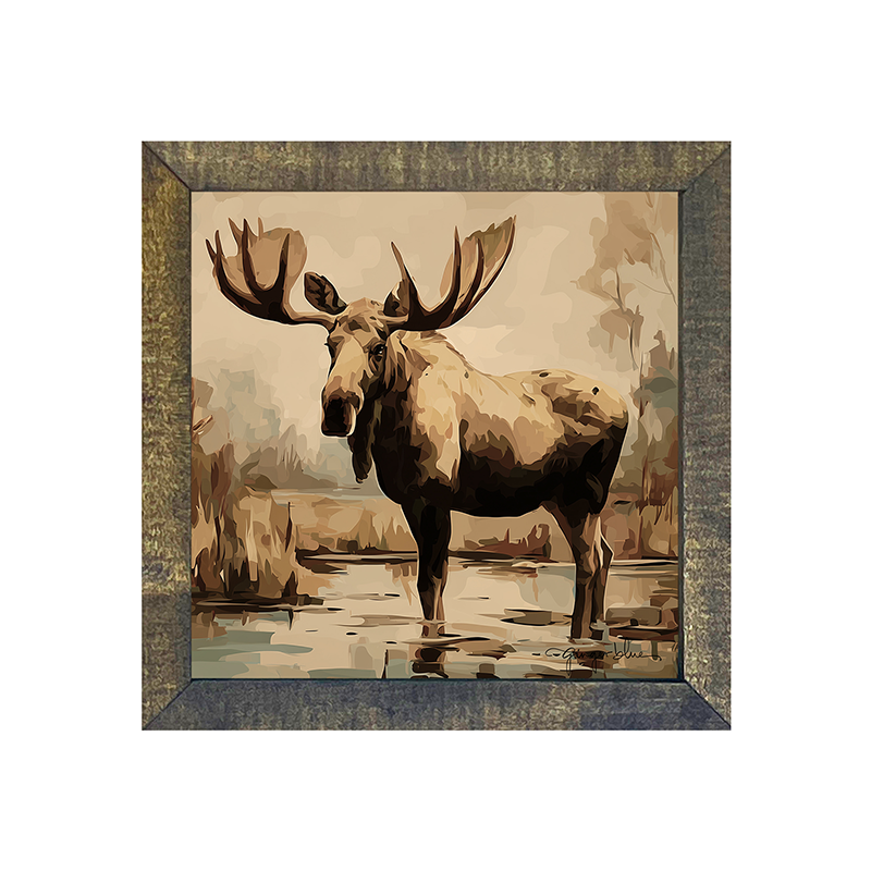 Adirondack Moose
