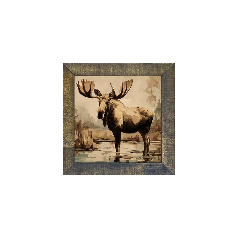 Adirondack Moose
