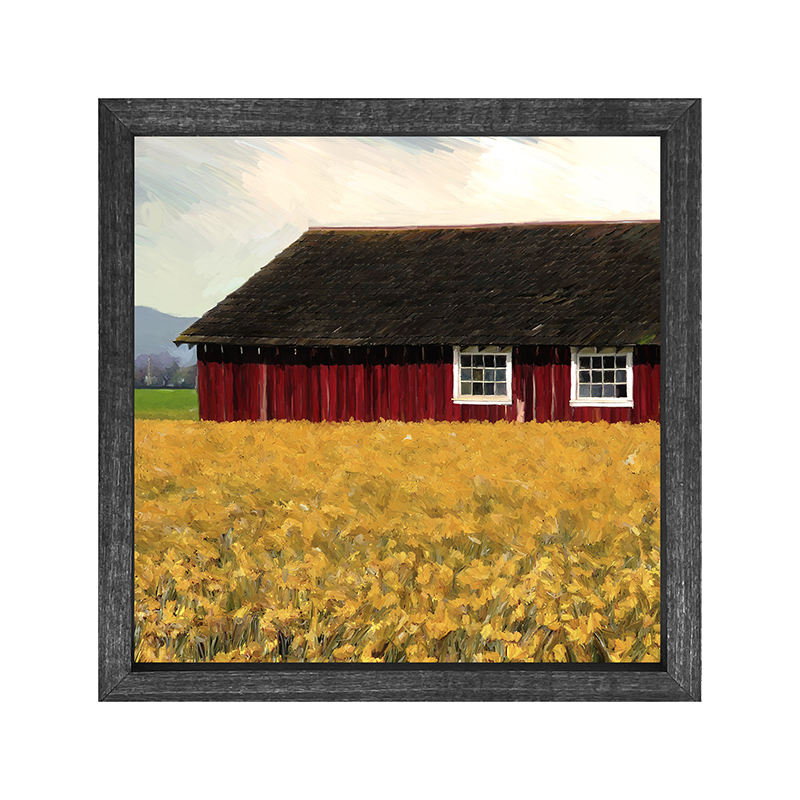 Barn with daffodils