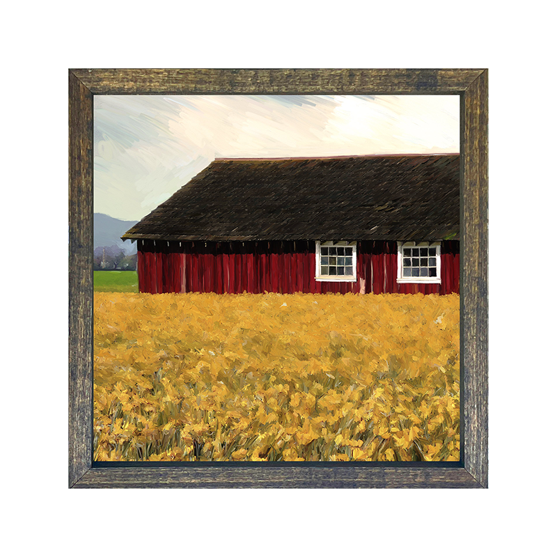 Barn with daffodils