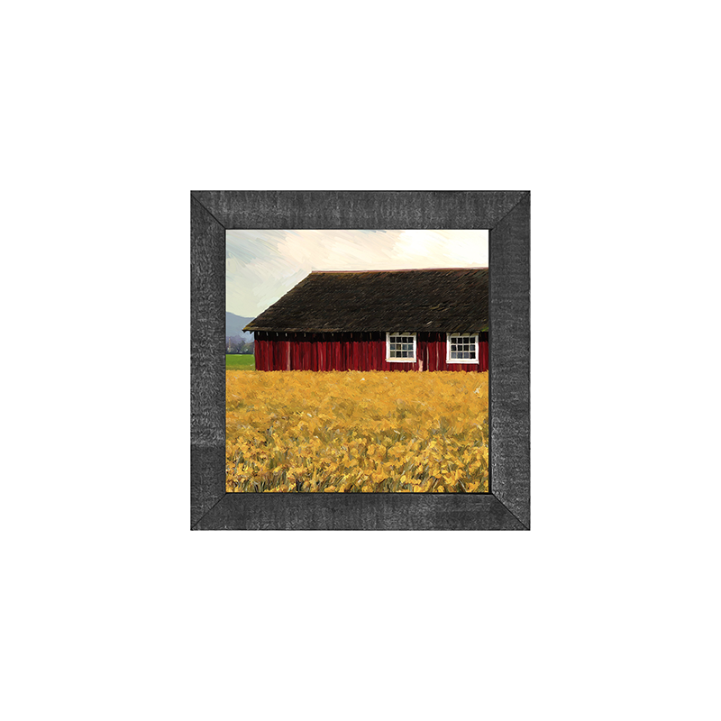 Barn with daffodils