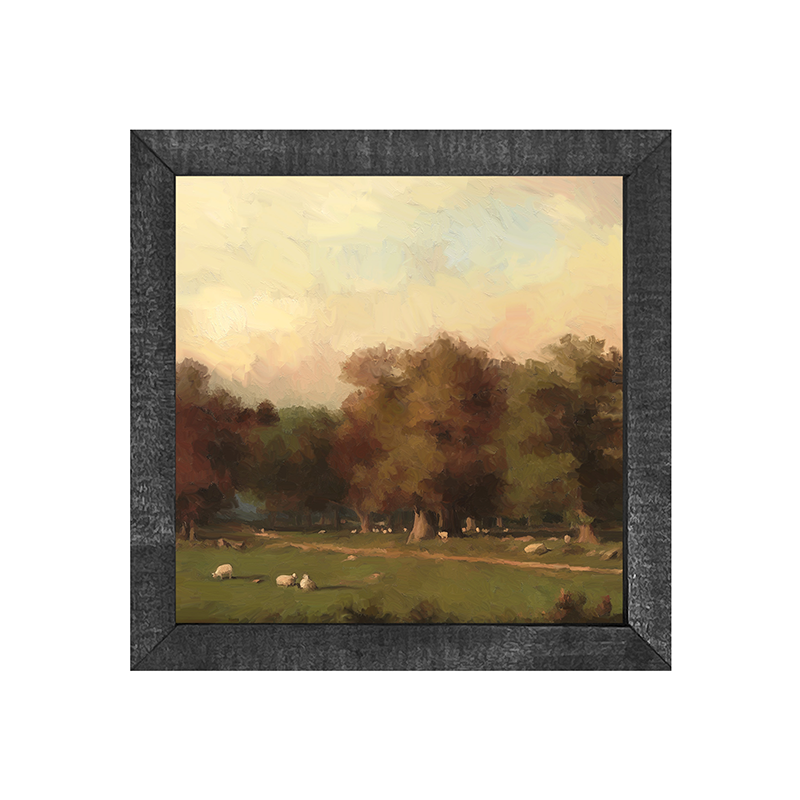 Pasture