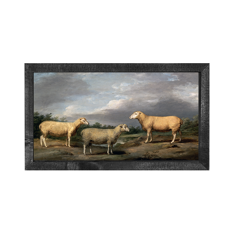 vintage sheep