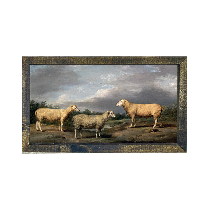 vintage sheep