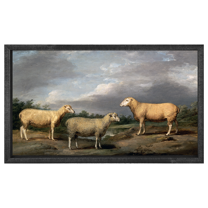 vintage sheep