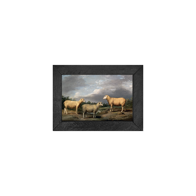 vintage sheep