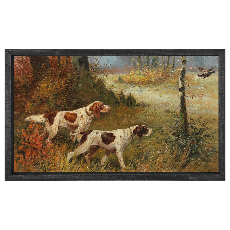 Hunting Quail
