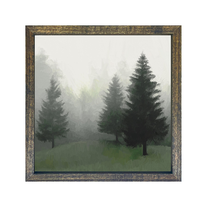 Forest of fog