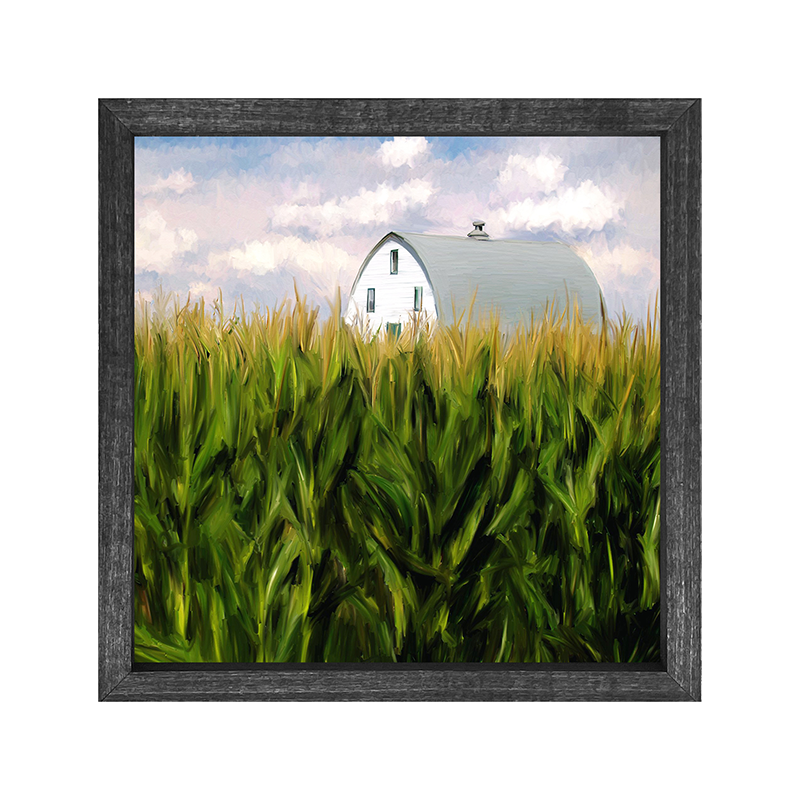 Field of Corn
