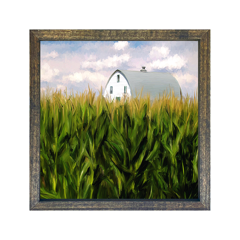 Field of Corn