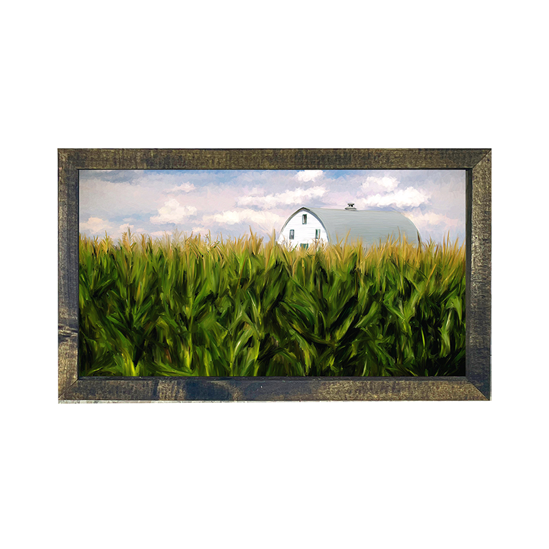 Corn field