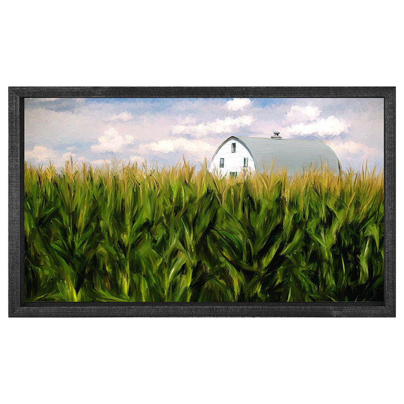 Corn field