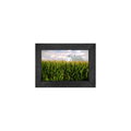 Gallery Frame