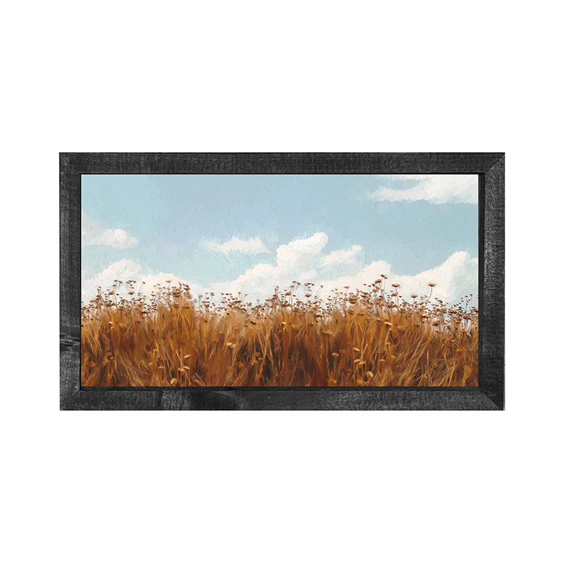 Autumn field