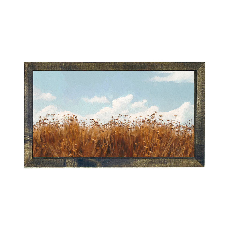 Autumn field