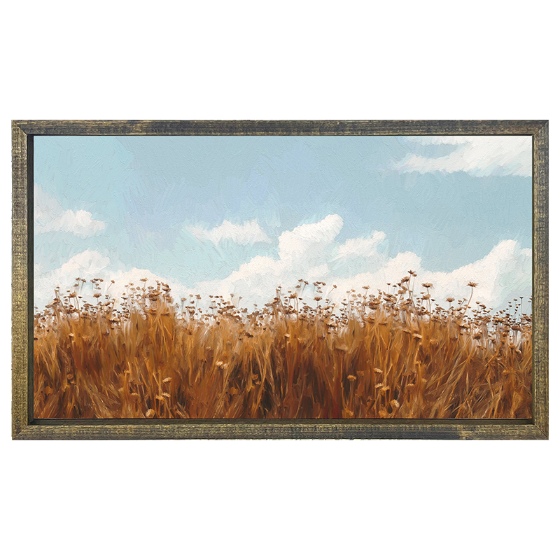 Autumn field