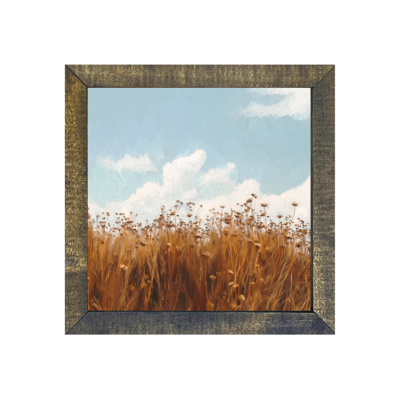 Autumn Field