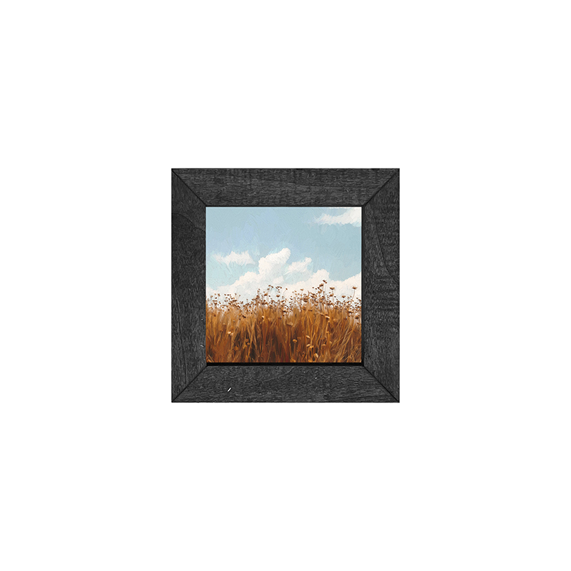 Autumn Field