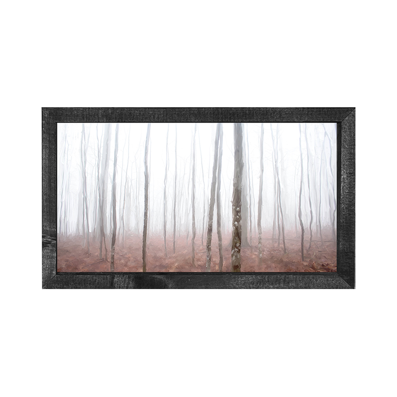 Birch Forest