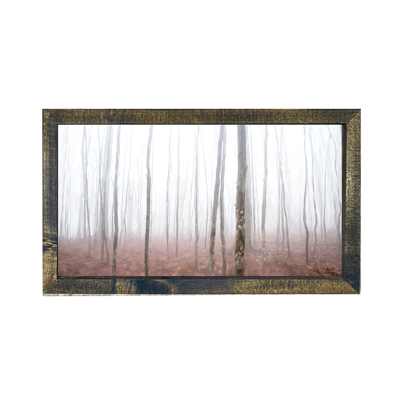 Birch Forest