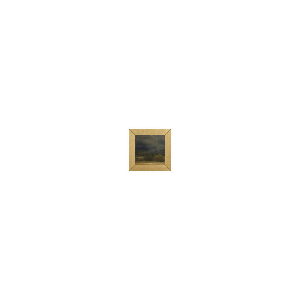 HG-885 in Metallic Gold Gallery Frame, M
