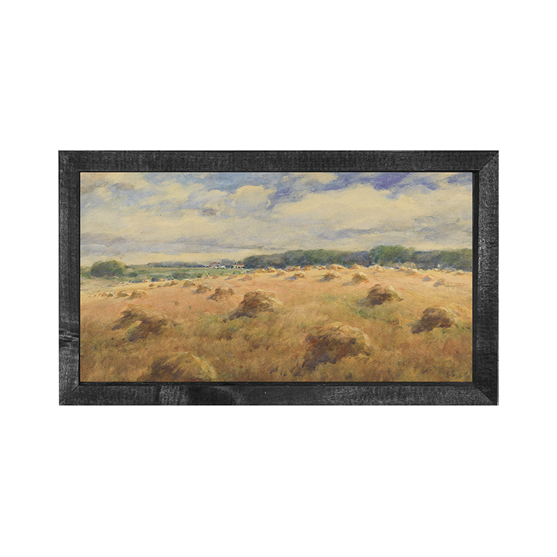 Hay Fields