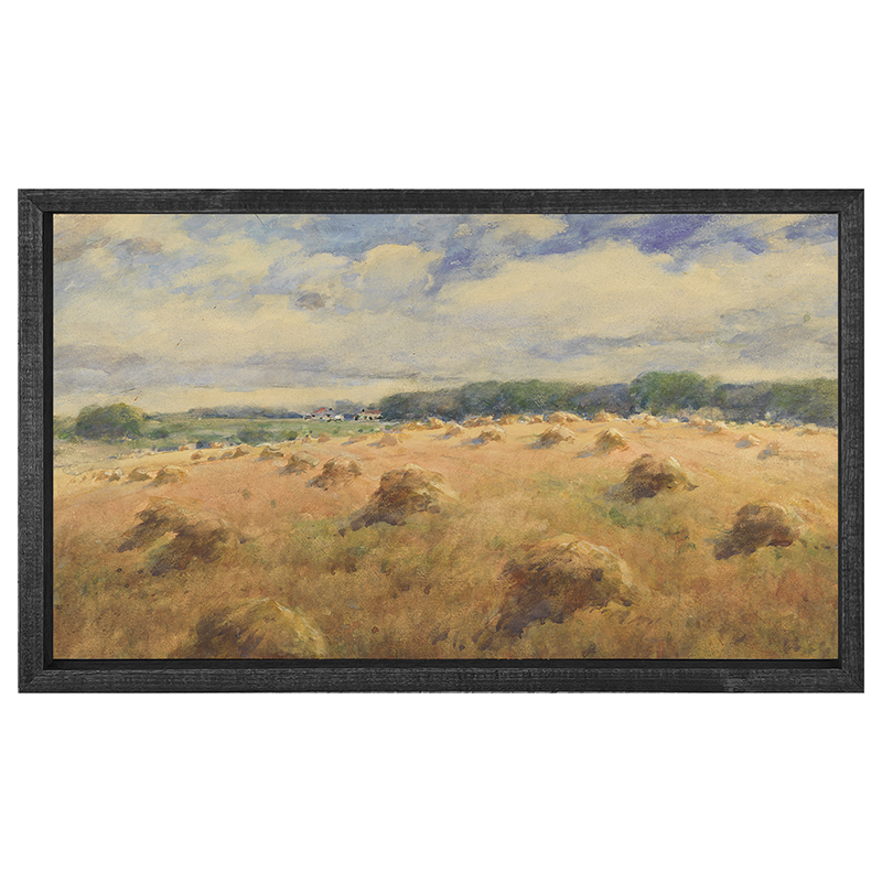 Hay Fields