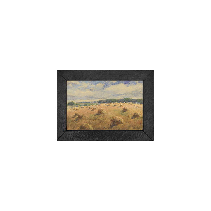 Hay Fields