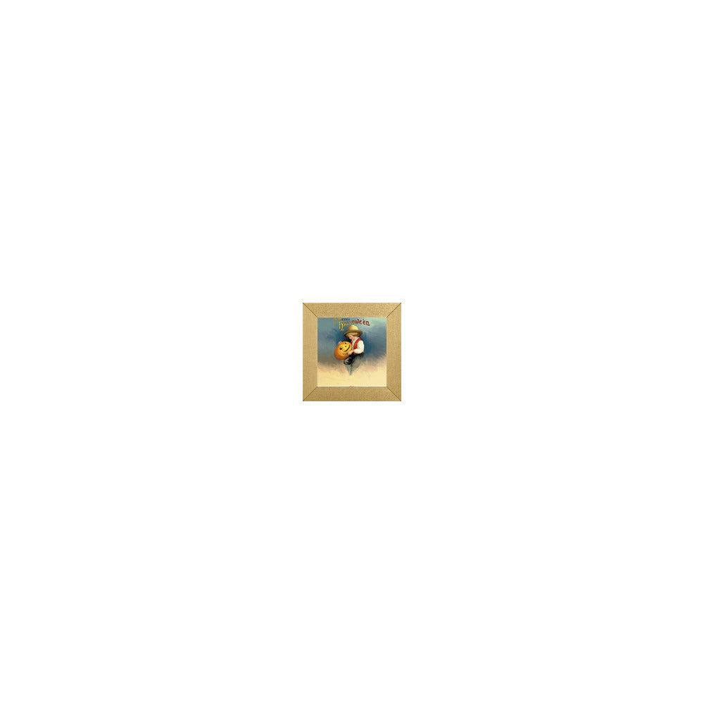 HW-015 in Metallic Gold Gallery Frame, M