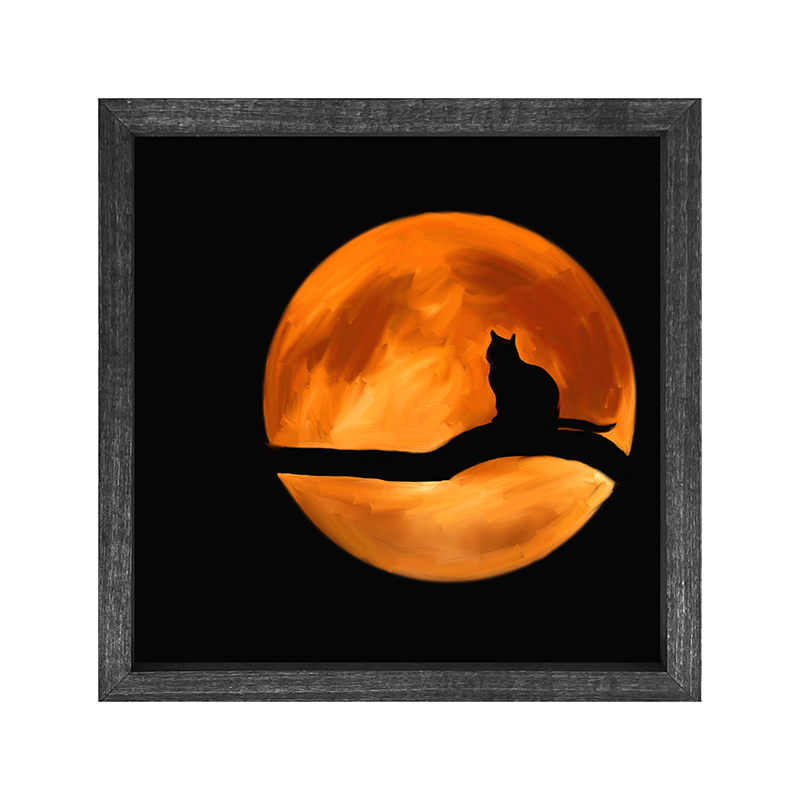 Cat in the moon
