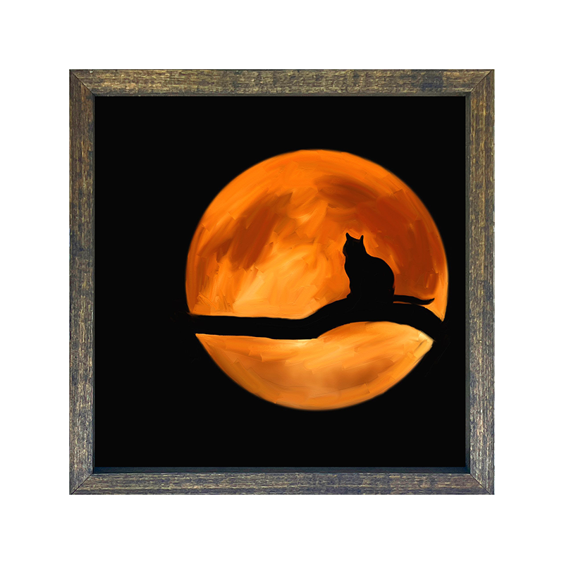 Cat in the moon