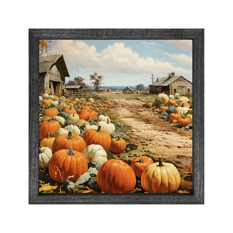 Field of Pumpkins