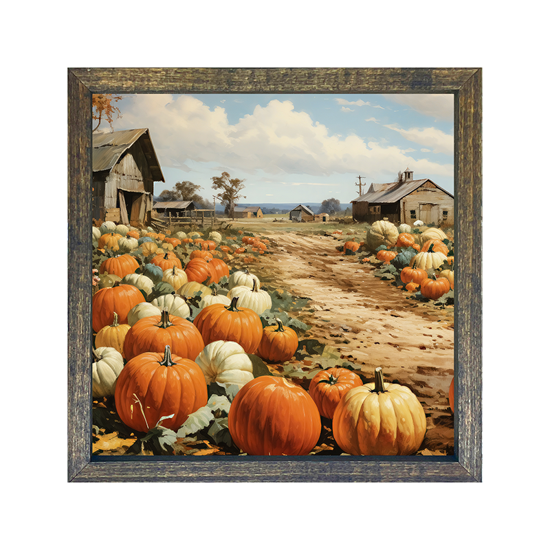 Field of Pumpkins