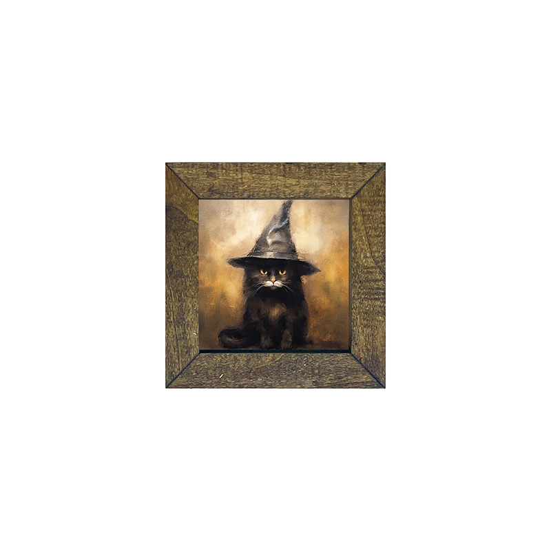 Cat with Witch hat