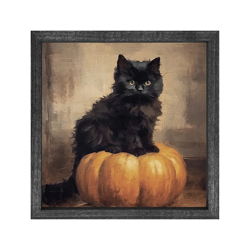 Cat on pumpkin