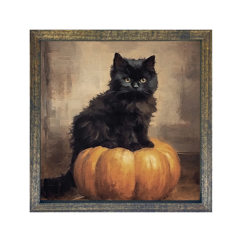 Cat on pumpkin